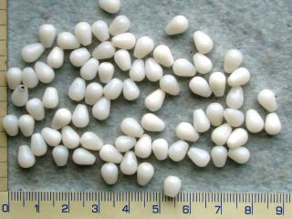 skleněné korálky,bílá kapička,8x6mm,cca74ks-20g