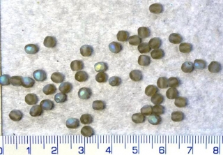 Broušené korálky, 4mm, šedá mat s AB, 50ks