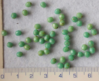 Broušené korálky, 4mm,tyrkysová, 50ks
