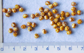 Broušené korálky, béžová strakatá s pokovem,4mm,50ks