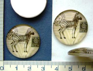 Skleněné kabošony,zebra,25mm,1ks