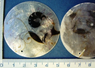 Malovaná perleť, 50mm, slabá perleť, černé kvítky, 1ks